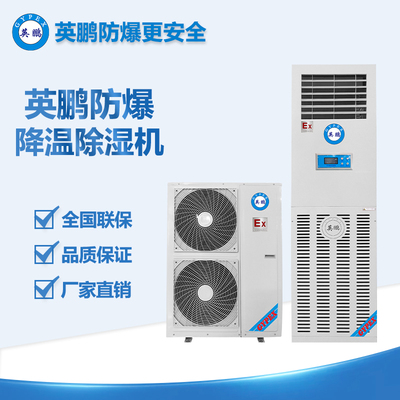 英鵬防爆立柜式降溫除濕機(jī)10KG  BCF-10CJ(G)