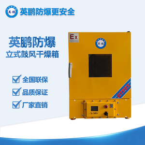 防爆立式電熱鼓風(fēng)干燥箱BYP-070GX-12.5GL