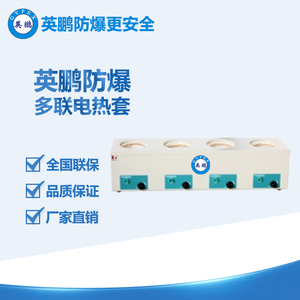 英鵬防爆多聯(lián)電熱套98-IV-B