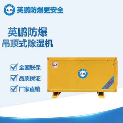 英鵬防爆吊頂式除濕機(jī)BCF-192C(D)