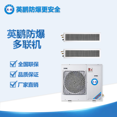 保定市實(shí)驗(yàn)室5p防爆多聯(lián)機(jī) BFKT-120（12D）