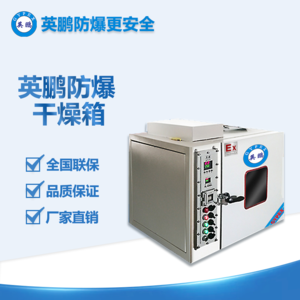 嵌入式熱風(fēng)循環(huán)防爆烘箱BYP-070GX