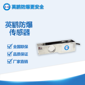 上海工業(yè)防爆稱重傳感器防爆傳感器