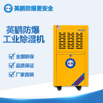 化學(xué)品倉(cāng)防爆除濕機(jī)BCF-7138C