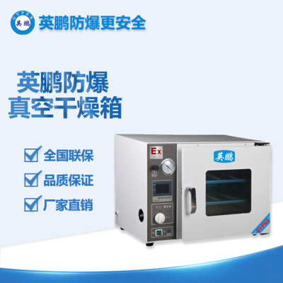防爆真空干燥箱-20升