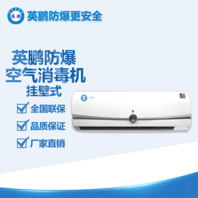 南京工業(yè)防爆醫(yī)療吊頂式消毒機(jī)