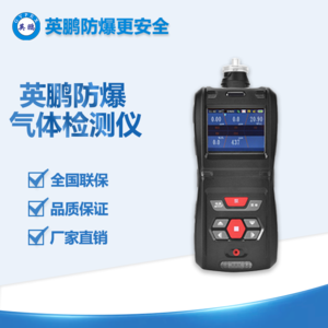 上海化工用防爆便携带气体检测器