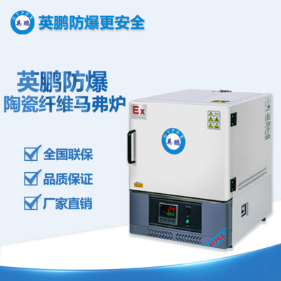 防爆陶瓷纤维马弗炉BYP-900GX-2/12MF