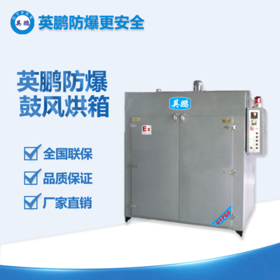 防爆鼓風(fēng)烘箱