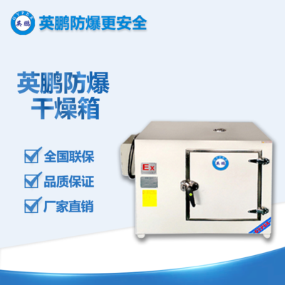 防爆高溫鼓風(fēng)干燥箱500℃