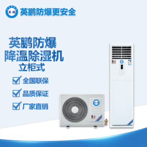 寧波市核電站防爆立柜式降溫除濕機 BCF-20CJ(G)