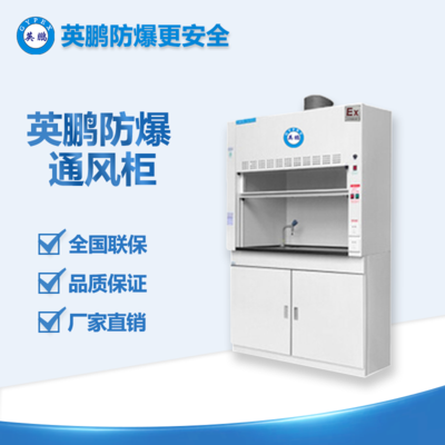 濟南工業(yè)用防爆通風(fēng)柜
