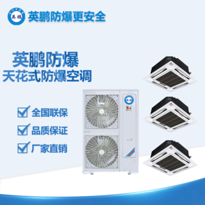 毫州天花式防爆多聯(lián)機 BFKG-16（18D）7匹一拖三